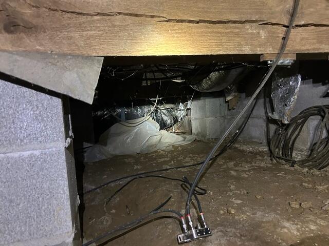 Floor Joists Cracks