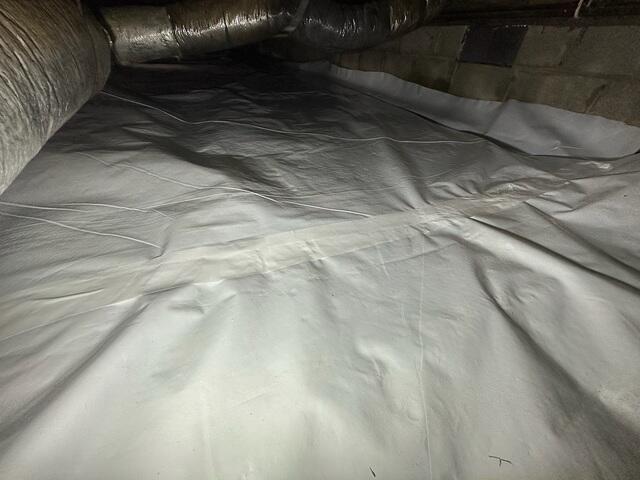 CleanSpace Liner