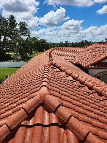 Clean Tile Roof in Valrico