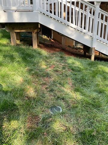 Discharge Line