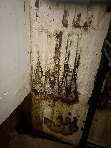 Signs Of Water Seepage