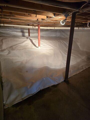 New CleanSpace