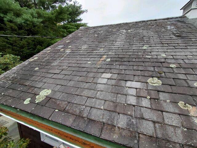 Slate Roof Before Treatment