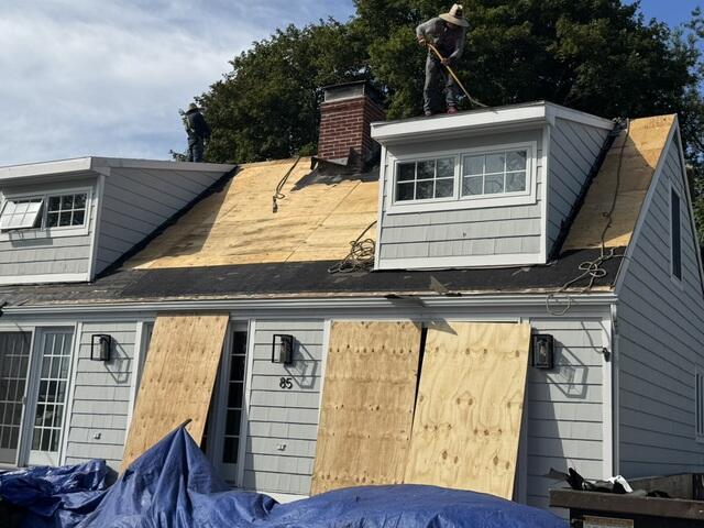 The Sheathing Is Examined