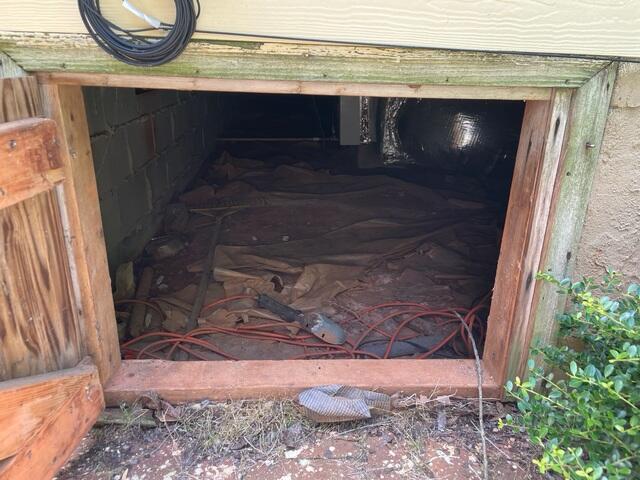 Old, Organic Crawlspace Door