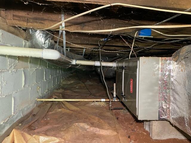 Nasty and Damp Crawlspace Offering Nothing Positive to the Home
