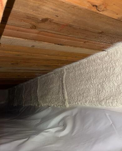 Spray Foam Insulation