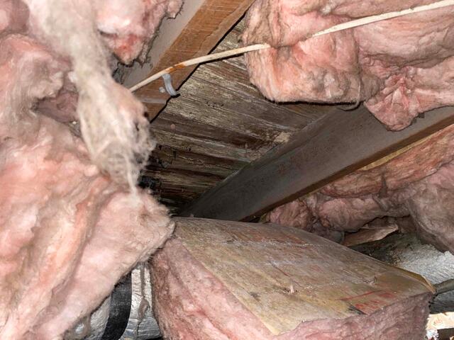 Flooring Starting to Rot and Decay