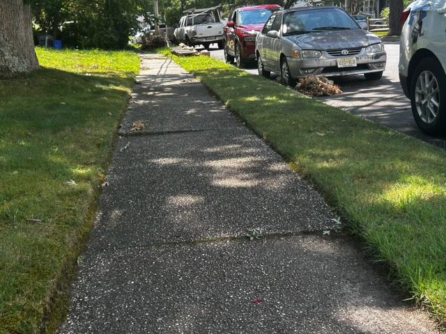 Sidewalk Settlement