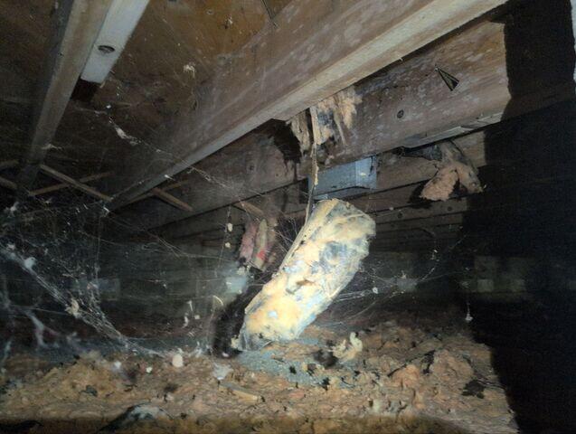 Mold remediation