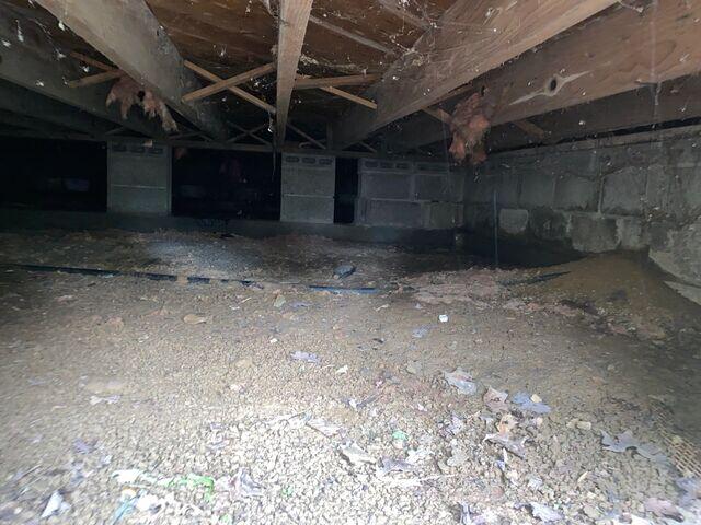 Mold remediation