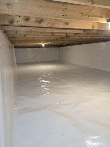 New CleanSpace