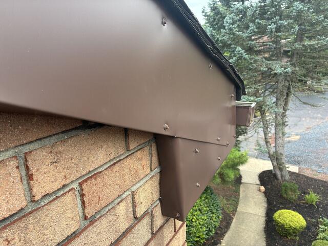 No More Squirrel Problems