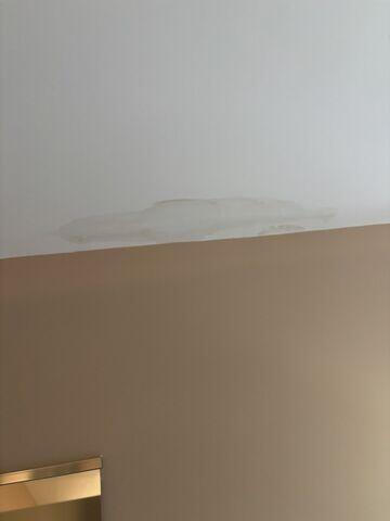 Leaky Ceiling in Loveland, OH