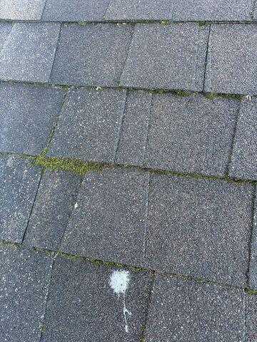 Roof Algae Growth in Loveland, OH