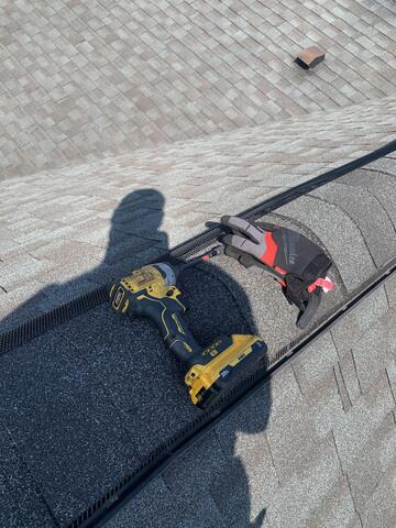 Bats Squeezing Through the Ridge Vent