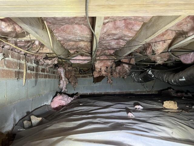 Damaged Insulation and Moisture Issues - Apex, NC
