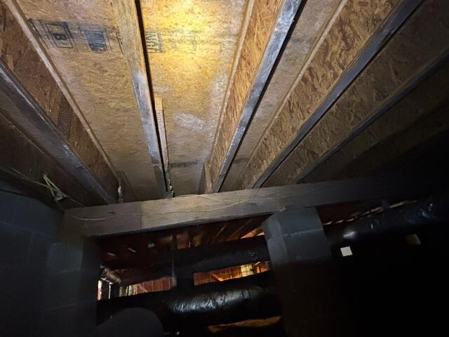 Crawl Space Mold