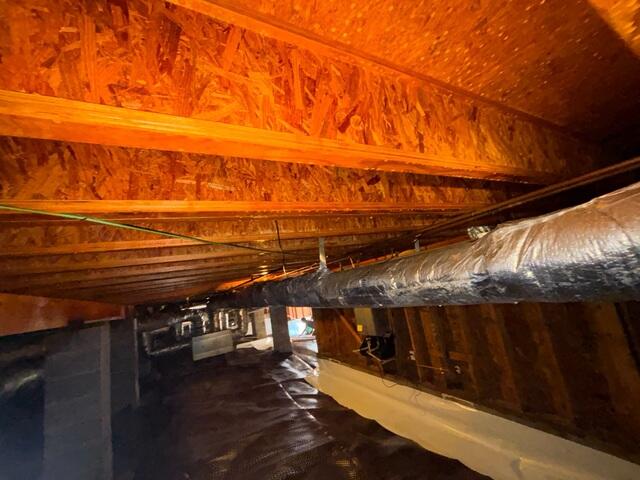 LumberKote™ Wood Sealant