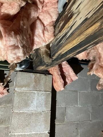 Wet Crawl Space Wood