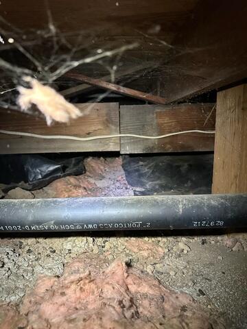 Pest Filled Crawl Space