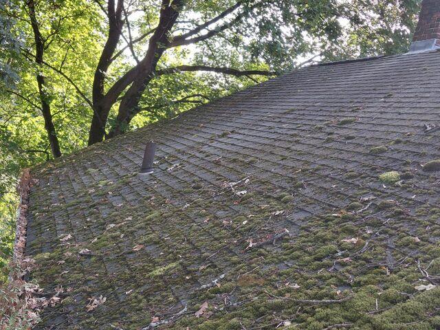 Moss on roof before treatment