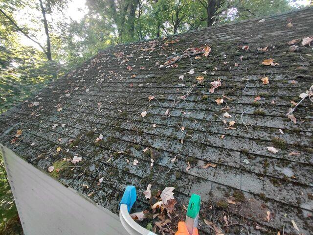 Moss on roof before treatment