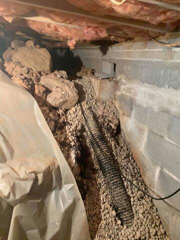 Crawl Space Problems