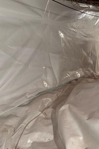 CleanSpace Liner