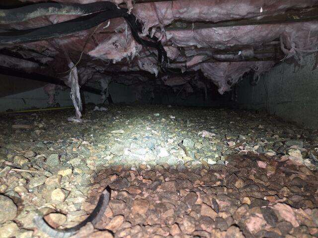 Damp Crawl Space