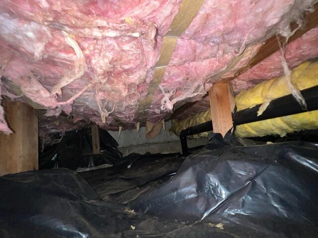 Fiberglass Issues