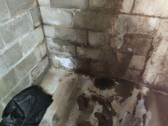 Basement During Inspection