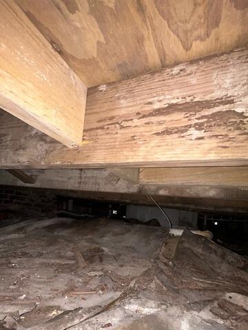 Floor Joist Rotting