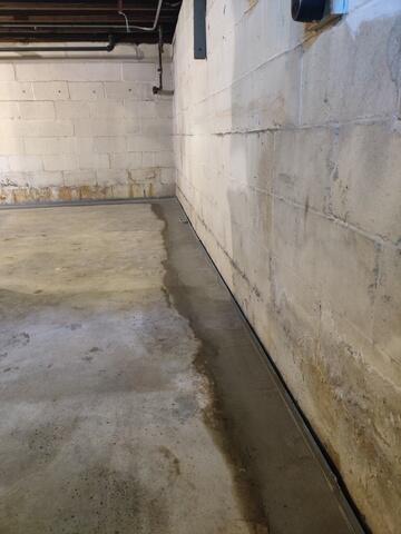 WaterGuard Drainage System