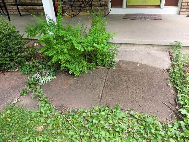 Before Sidewalk Leveling