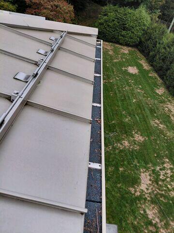 Moss removed from Gutter guards