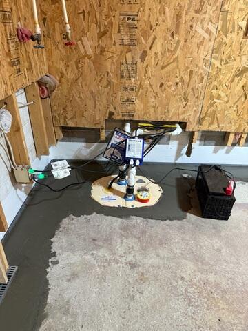 TripleSafe Sump Pump in Gays Creek, KY
