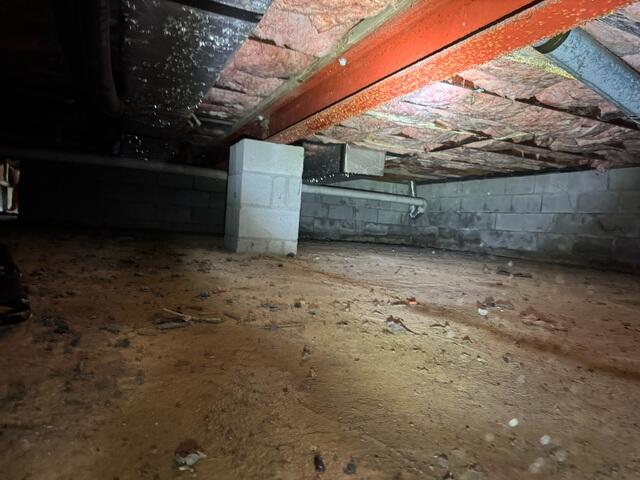 Damp Crawl Space