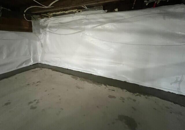 CleanSpace Vapor Barrier & WaterGuard Drainage System