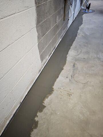 WaterGuard Drainage System