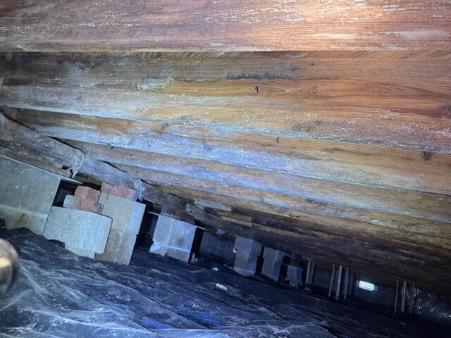 Nasty Crawl Space