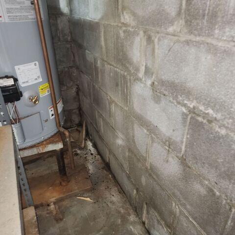 Basement During Inspection