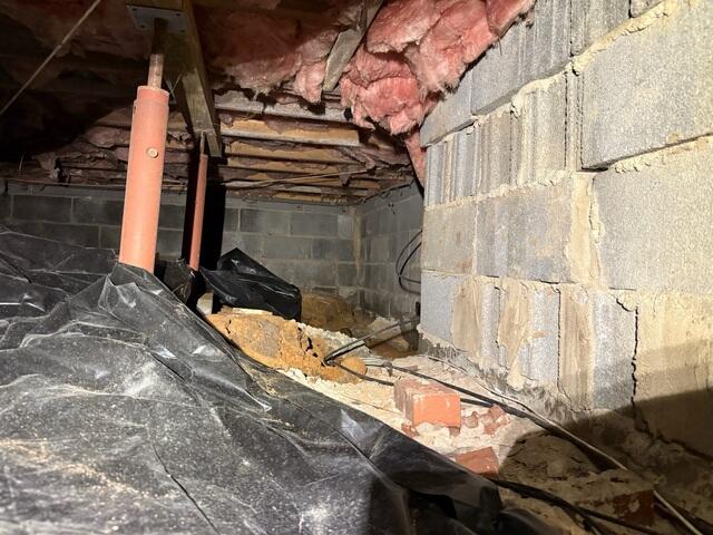 Mold and Moisture Before Treatment