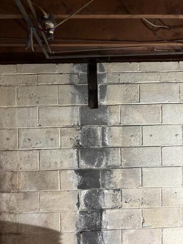 CarbonArmor Installation