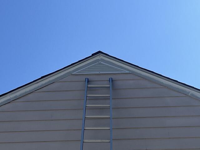 Protected from the Squirrels