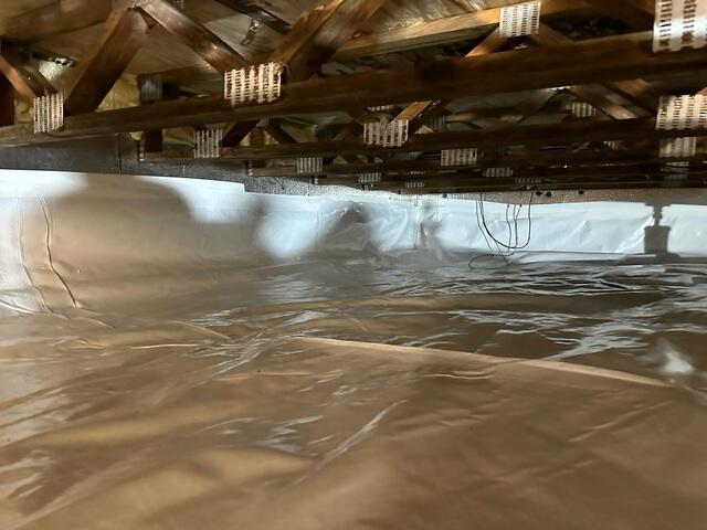 CleanSpace