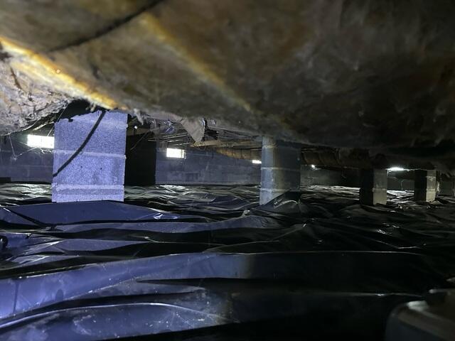 Dark and Wet Crawl Space