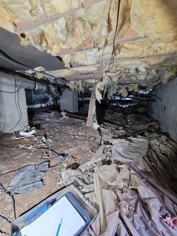 Crawl Space Moisture