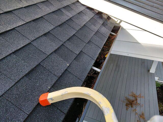 Gutters before cleaning