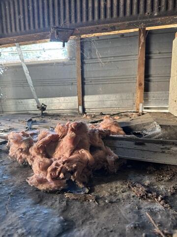 Fiberglass Insulation